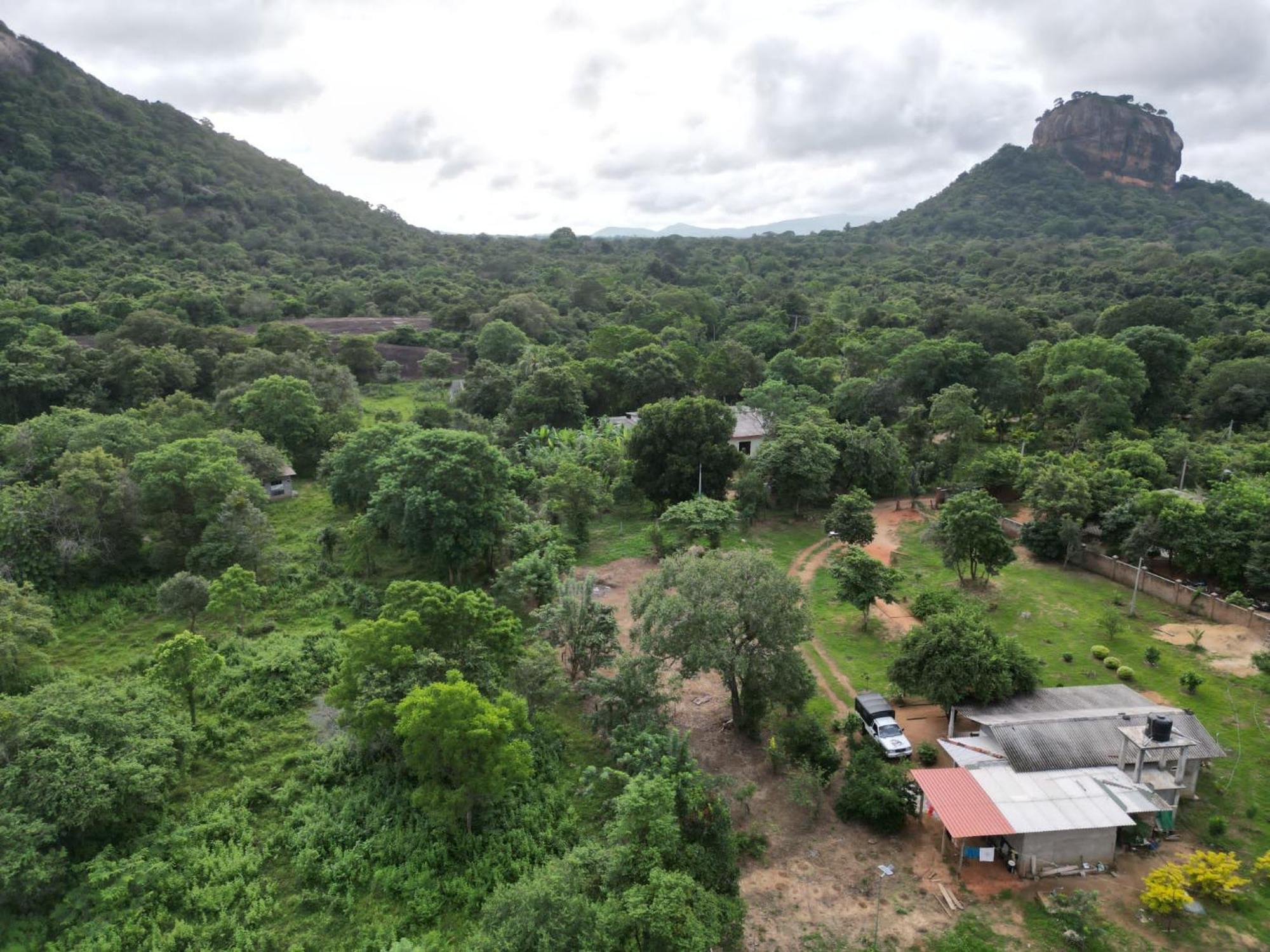 Hotel Sigiri Arana Sigiriya Exterior foto